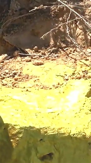 #treasure #treasurehunting #treasures #foryou #hiddentreasure #trending #omg #money #gold (5) #foryou #viral | Treasure Hunt