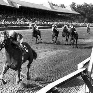 Unforgettable Alydar: remembering one of the true greats | Topics: Affirmed, Whitney Stakes, Travers Stakes, Alydar, Calumet Farm, Saratoga, Triple Crown, Steve Cauthen, Kentucky Derby, Belmont Stakes | Thoroughbred Racing Commentary