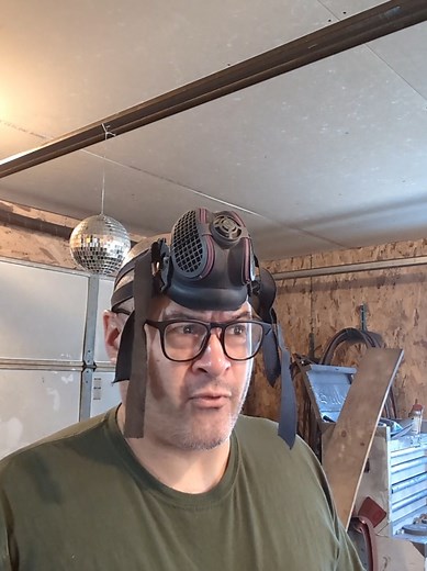 Understanding the Role of Service Dogs