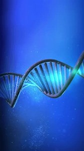 The DNA strand model rotates in close-up. 3D Illustration