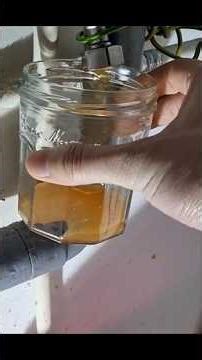 What lives in exploded boiler water? #science #nature #microscope #biology