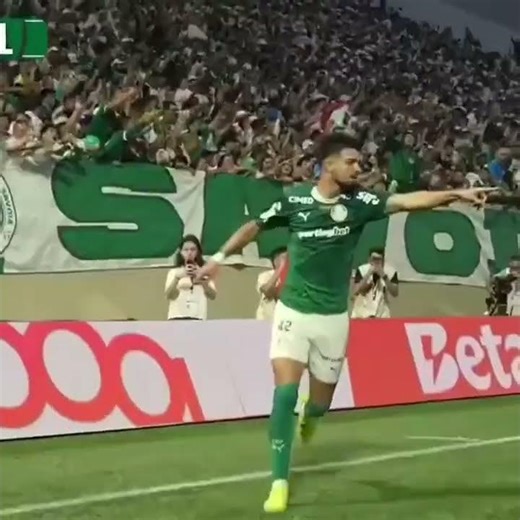 hj tem 🤍💚☠️ #edit #palmeiras #saopaulo