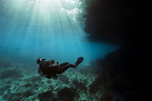 QUIZ: Conditions and Environment