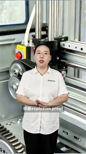 Explosion proof synchronous belt motor11