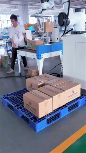 Palletizing Robot with Custom Gripper Fits All Kinds of Packages.