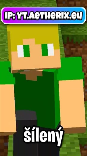 Chce to TĚŽIT! ⛏️ #minecraft #czsk #gaming #minecraftshorts #mc #memes
