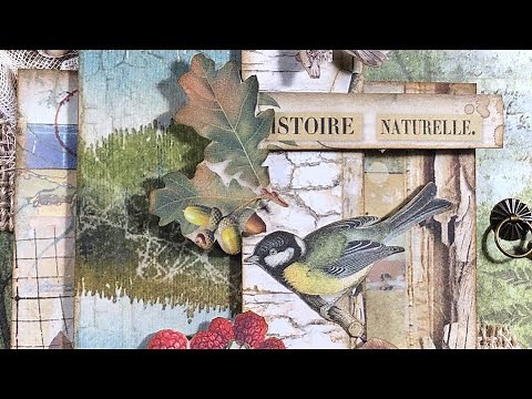 Stamperia Forest Mini Album Tutorial - pt1