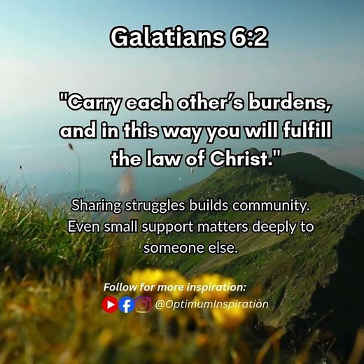 Support Each Other in Struggles | Galatians 6:2 Bible Verse Reflection