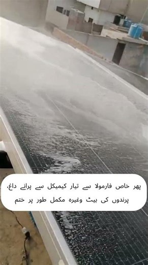 How We Clean Solar Panels Professionally || Step-by-Step Process