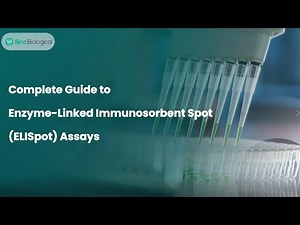 A Step-by-Step Guide to ELISpot Assays