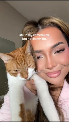 Ein Monat ohne Findus: Erinnerungen und Schmerz