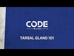 How to Use Tarsal Gland Deer Scent