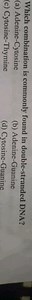 Which combination is commonly found in double-stranded DNA?(a)... | Filo