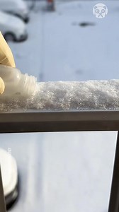 The microscopic world is absolutely fascinating Partner: microscope2707 | Lady Panda