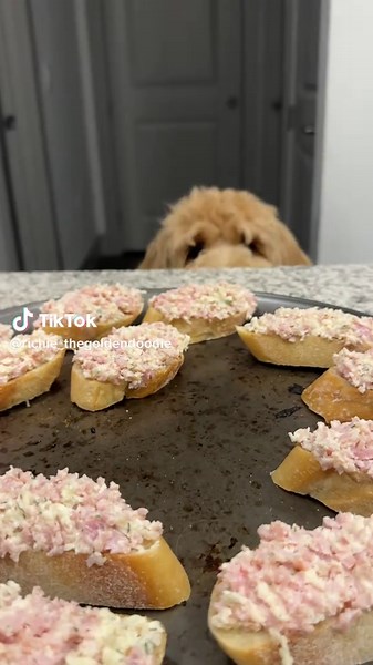 Explore Adorable Mini Golden Doodle Puppies