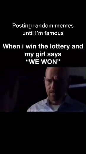 The meme turtle (@thememeturtle)’s videos with original sound - The meme turtle