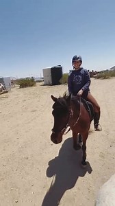 5K views · 490 reactions |  Adopt Leo!  He is a five year old...