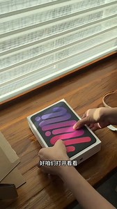 Apple/苹果 iPad mini (A17 Pro) 8.3英寸 平板电脑(512G WLAN版/mini7/MYH23CH/A)星光色