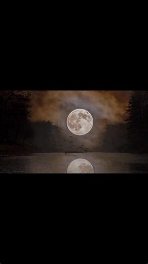 980K views · 37K reactions | Have a great Sunday everyone  #highonthemountainphotography | High On The Mountain Photography | Facebook