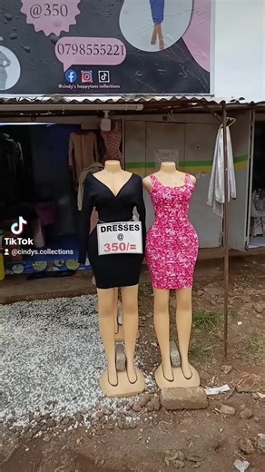 Cindy's happytoes collections on TikTok