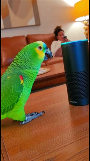 Alexa vs Angry Parrot 🦜😂