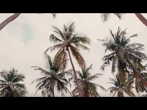 Skepta x WizKid - Energy (Stay Far Away) 432 Hz