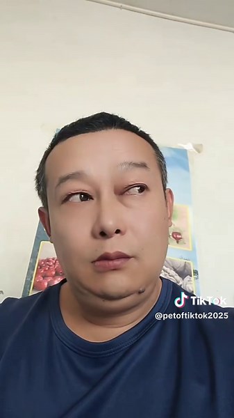 Funny Cat Video Compilation That Makes You Laugh