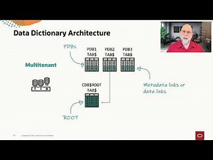 The data dictionary architecture in a multitenant database