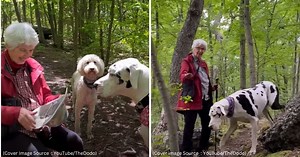 Great Dane forms wholesome bond with grandma he met while hiking. Now, they hike together every week