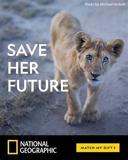Take a moment to help save one of our planet's most awe-inspiring species and the habitats they rely on. | National Geographic Society