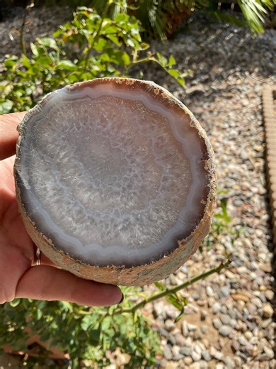 Enhydro Agate Geode Nodule: Volcanic Rock Home Decor - Etsy