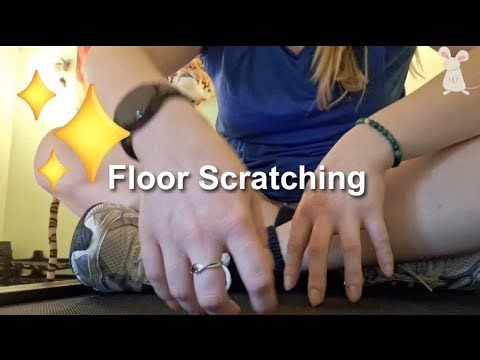 ASMR Floor Tapping & Scratching 💤 No talking