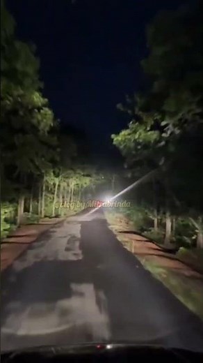 I Am On My Way – Alan Walker | Official Music Video