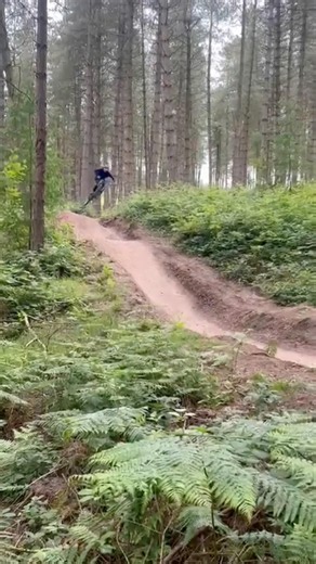Cannock chase off piste trails #mtb #trails #dirtjumps