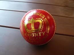 クリケットのルールと楽しみ方