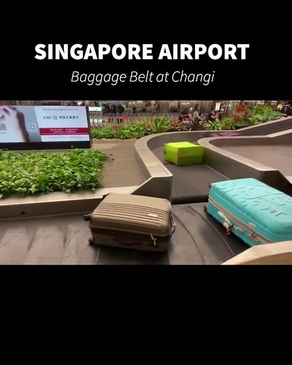 The bags at Changi airport are more polite than most people 😅 | Fabulous Mom Life