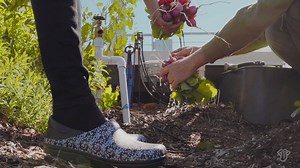 1.8M views · 11K reactions | Chefs all over the world turn to Crocs to provide comfort in the kitchen. Watch as Chef Preeti Mistry pushes the boundaries of flavor like you've never seen before  | Crocs | Facebook