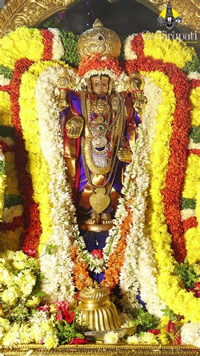 Sri Kalyana Venkateswara Swamy Snapana Thirumanjana Seva during Chakrasnanam at Srinivasa Mangapuram. #tirupatibalaji | GoTirupati