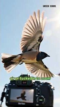 🕊️ The Science of Bird Flight | Explained