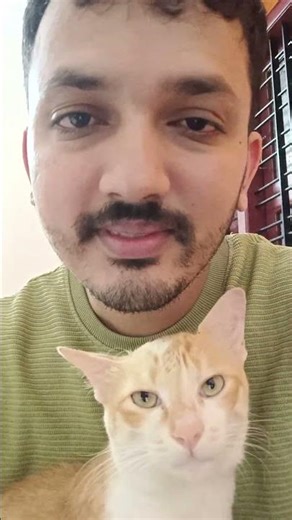 My Cat Loves me😺🥰🥰#catvideos #cat #cutecats #love #viralvideos