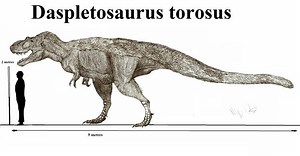 Daspletosaurus - Alchetron, The Free Social Encyclopedia