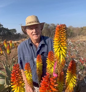 2.2K reactions · 147 shares | Plant your aloe garden now for a colourful winter garden next year. Aloes feed our fellow creatures.  | The ALOE FARM | Facebook