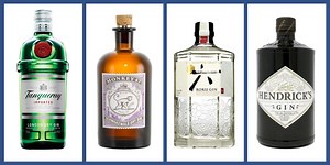 17 Essential Gin Bottles for Your Bar Cart