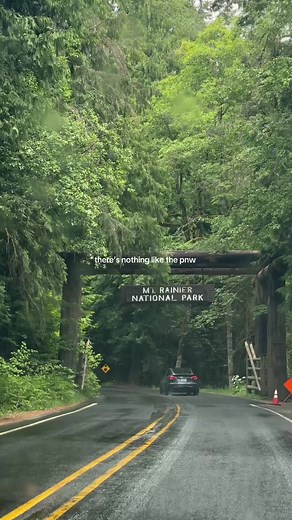 Experience the Beauty of Mt. Rainier National Park