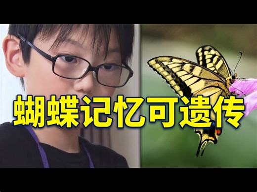 【中配】十岁天才少年研究震惊世界科学家 - A Curious Birb