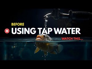 Stop Using Tap Water in Your Aquarium