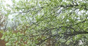 What are the best, safest ways for seniors to enjoy spring?