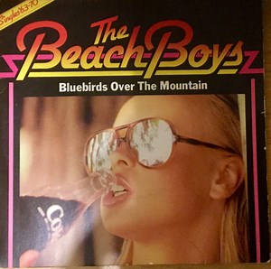 Beach Boys - Bluebirds Over The Mountain