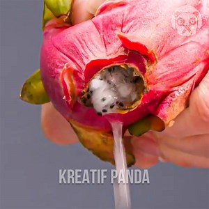Kiat Berkebun Menakjubkan! | Kreatif Panda
