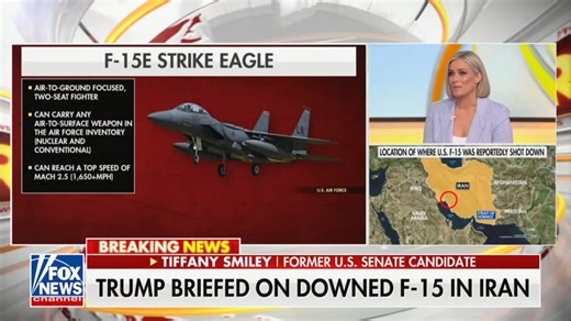 Fox guest chokes up while revealing her own experience as military spouse after US fighter jet shot down